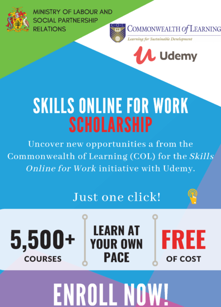COL Skills for Work Online Poster